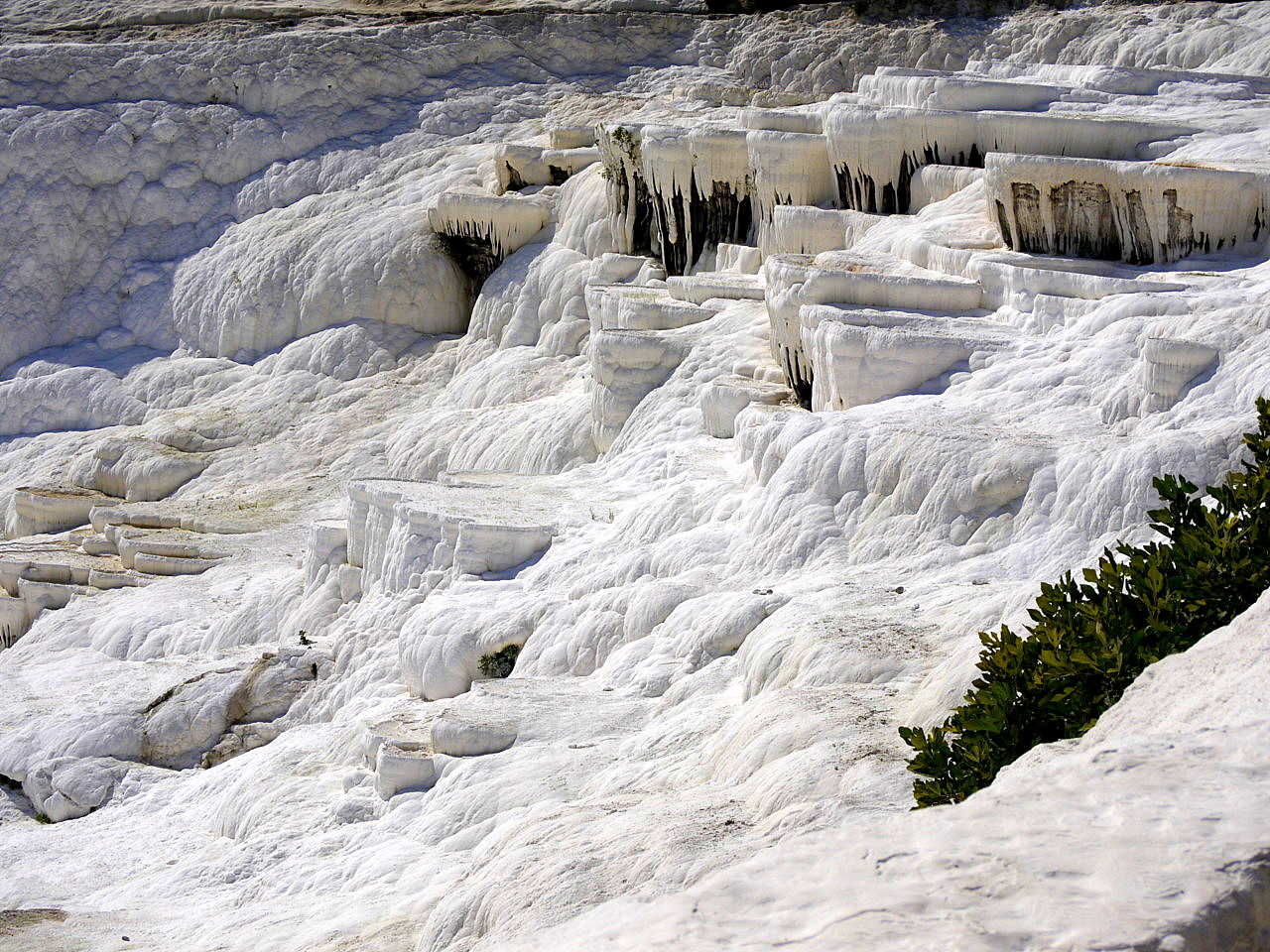 The calcium travertines at Pamukkale